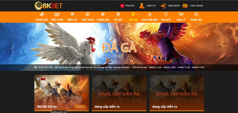 Trò Chơi Đá Gà 8Kbet Hấp Dẫn